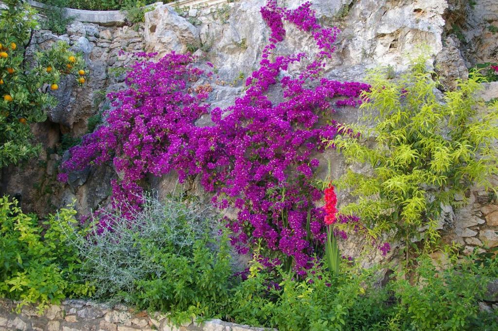 Hotel Villa Clodia Saturnia Dış mekan fotoğraf